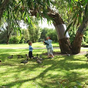 Kennett River Family Caravan Park